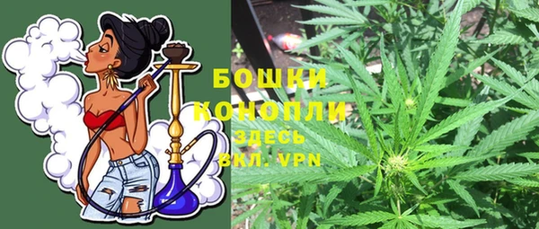 спиды Богданович