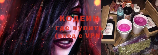 крисы Бронницы