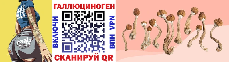 Галлюциногенные грибы GOLDEN TEACHER  Купино 
